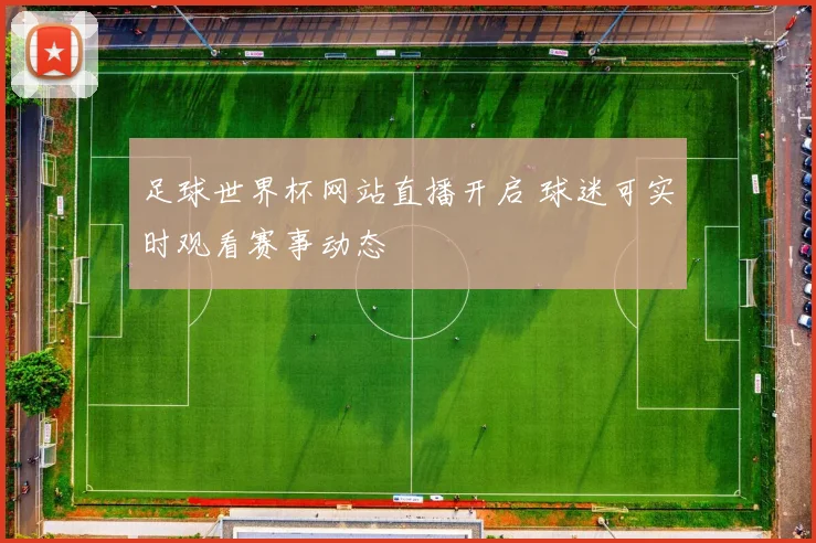 足球世界杯网站直播开启 球迷可实时观看赛事动态