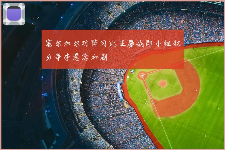 塞尔加尔对阵冈比亚鏖战即小组积分争夺悬念加剧