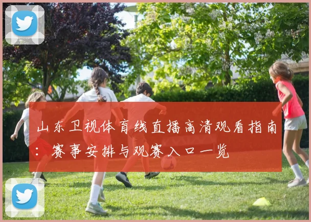 山东卫视体育线直播高清观看指南：赛事安排与观赛入口一览