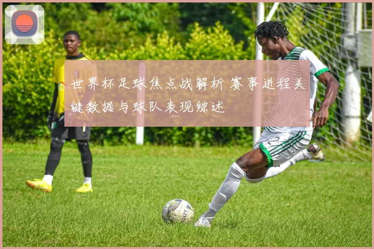世界杯足球焦点战解析 赛事进程关键数据与球队表现综述